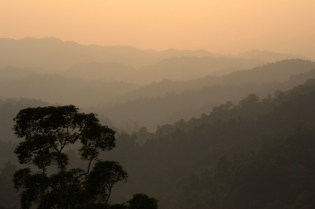 Laos-Gibbon-Experience-Baumhaus-Aussicht-Sonnenuntergang